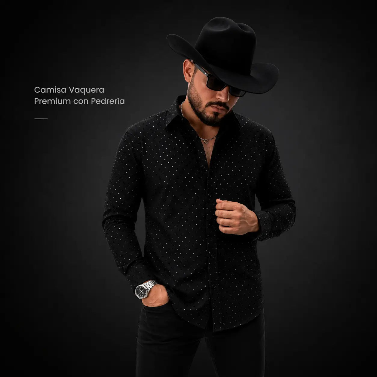 Camisa Vaquera Premium con Pedrería